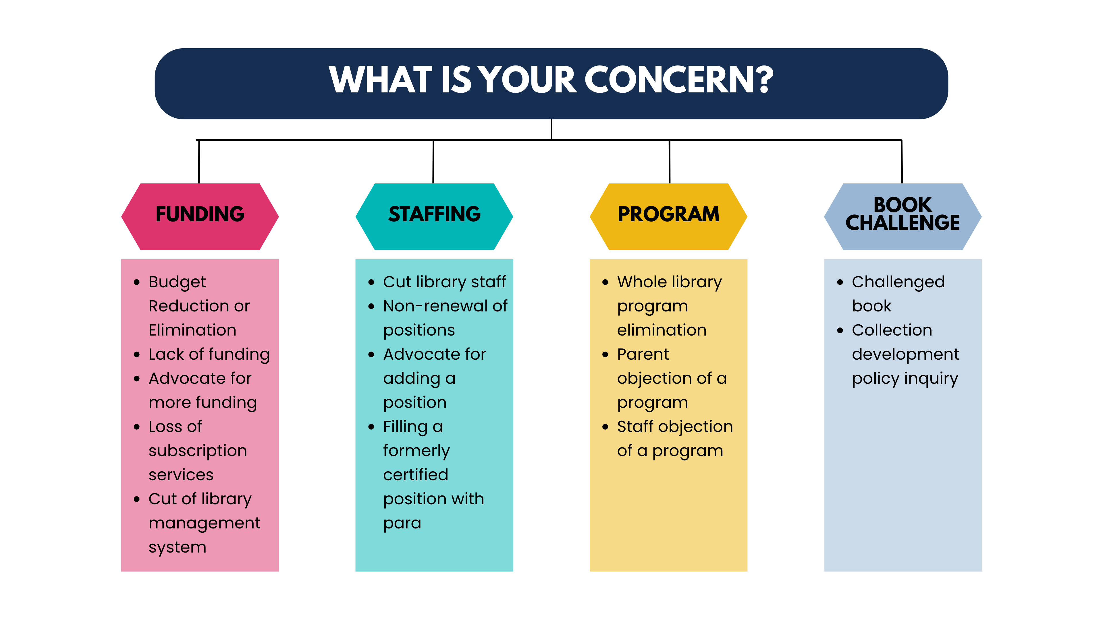 Advocacy Concern Chart Chart displaying four main advocacy concerns: funding, staffing, program, and book challenge, including specific examples of each.