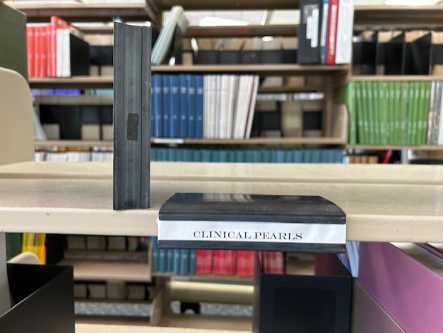Clip-on Shelf Label Holders | Reaching Across Illinois Library System