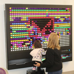 My Library Is... LiteZilla Lights Up Lisle Library District