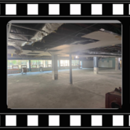 My Library Is… Designed for Its Users