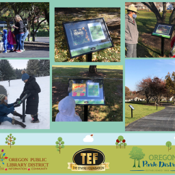 StoryWalk© at Oregon Park West- How to Get Patrons on the Move!
