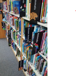 My Library Is... A Place to Cultivate Lifelong Readers