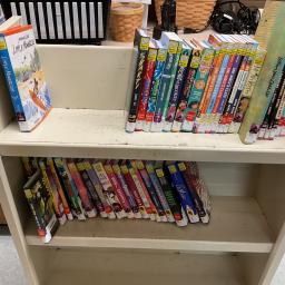 My Library Is... Loving Graphic Novels