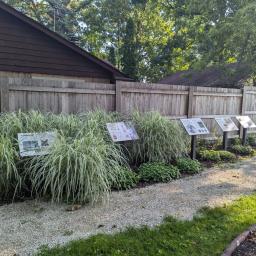 IMLS Stories: Encouraging Active Outdoor Play and Recreation