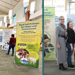 Elgin library exhibit shows that when it comes to the environment and road/sidewalk salt, less is more