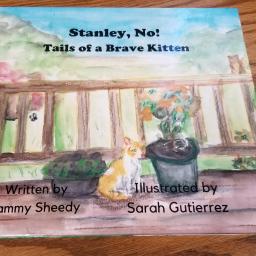 Stanley, No! New children's book