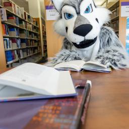 Wiley the Wolf Mascot Reading
