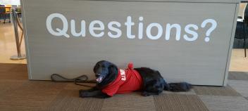 My Library Is... Finals Week Activities in the Library: Helping Our Students De-Stress