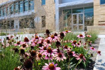 Native flowers in front of the Helen Plum Library