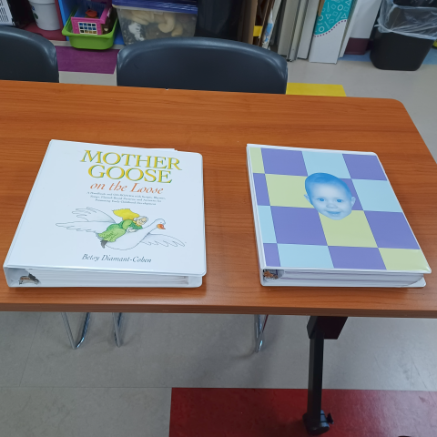 Two white binders: One says "Mother Goose on the Loose" with a picture of a woman on a goose. The other is a checkerboard of colored blocks with a picture of a baby