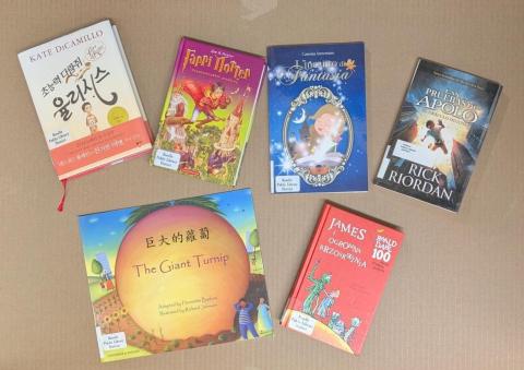 6 books, each written in a different language, on a cardboard sheet.