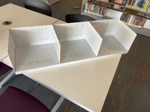 LFI Picture Book Shelves