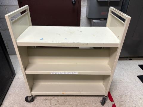 Picture of beige book cart, flat top with 2 divided lower shelves
