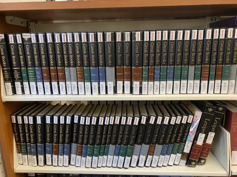 A series of books lined on a two shelves.