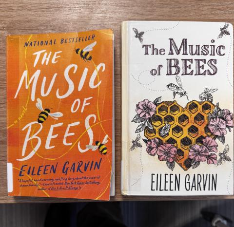 Music of Bees