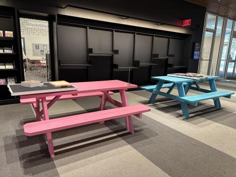 Picnic Tables, 1 pink and 1 blue