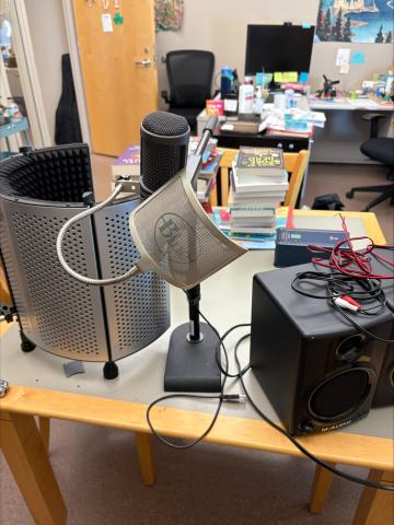 picture of microphone and sound absorber