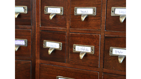 An old wooden card catalog labeled with flower names.