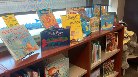 A low wooden bookshelf in front of a window covered by blinds. On top of the shelf are picture books displayed both in easels and standing up. 