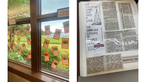 Two images side by side; on the left are windows covered in cards showing pictures and facts about local insects. On the right is an old photo album open to a page displaying newspaper clippsings about the Sandwich Public Library.