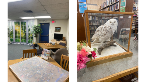 Two images side by side: on the left are two sets of tables and chairs, each with a puzzle on top waiting to be completed; on the right is a white snowy owl in a glass enclosure.