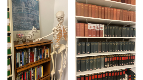 Two adjacent pictures: on the left is a model of a skeleton standing to the right of a book shelf of books. On top of the book shelf is a skeleton of a small, seated animal next to a glass candy dish in front of a framed print of Monet's Water Lilies and Japanese Bridge; on the right are white shelves of reference books. 