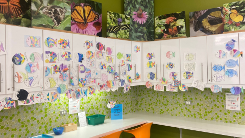 A craft corner with orange chairs in front of a white counter workspace. Above the workspace, white cabinets with silver handles hang on a lime green wall. The cabinet doors are covered in paper fish art; above the cabinets are colorful images of butterflies on canvas. 