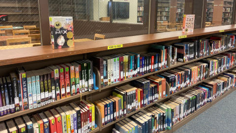 A row of low bookshelves full of books sits in front of windows looking into a room of wooden tables and chairs. 