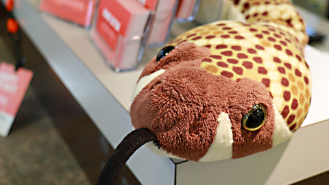 A snake stuffed animal on a desk next to business cards. 