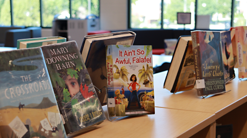 Books on display with a window in the background. 