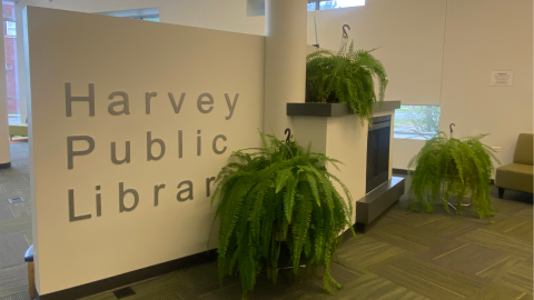 A light-colored wall with the words, "Harvey Public Library" in silver letters sits to the left of an indoor fireplace with three potted ferns.