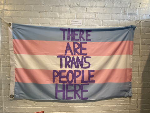 A blue, pink, and white transgender flag hands on a white brick wall. Purple letters on the flag spell, " There are trans people here."