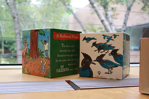 A cube with an illustration of people surrounding a tree, A Redwood Poem on the side next to it. A second cube with 9 illustrated Steller’s jays. 